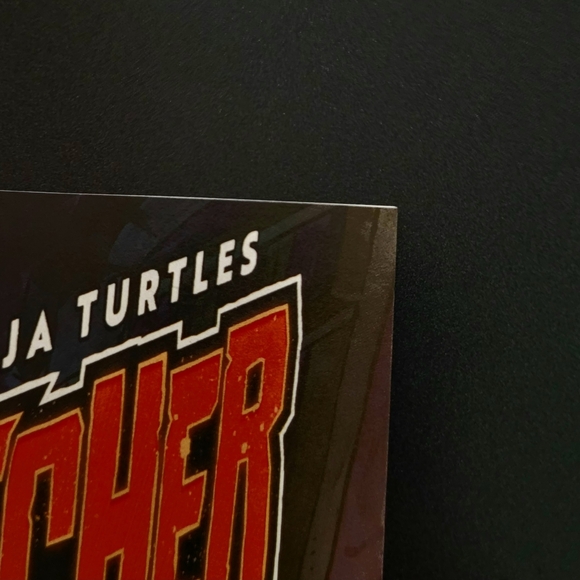 Teenage Mutant Ninja Turtles: Nightwatcher #2 - Picture 5 of 7